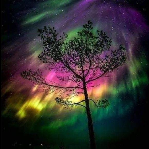 Meet your Posher, Lisa - Picture 16 of 16